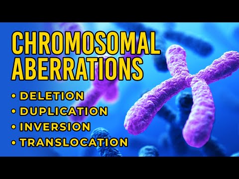 Chromosomal Aberrations | Deletion | Duplication | Inversion | Translocation