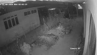 Cam07 20200831 030308