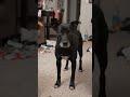 Right At This Point… It Shouldn’t Hold Like That