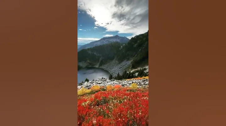 Autumn hikes at Alpine Lakes Wilderness in Washington, USA 🌲#shorts #song #usa #bestmoments  #vlog - DayDayNews