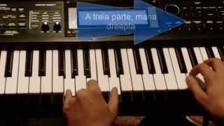 Canta La Orga - Cand Eram Fecior La Tata Tutorial Orga