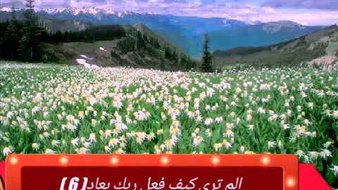 الشيخ محمد صديق المنشاوي ايه 6، 7، 8 من سورة الفجر