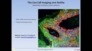 LCI facility virtual tour