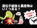 【勉強法】記憶に残りすぎ！（笑）すぐに思い出せる遺伝子組換え農産物のゴロ合わせ