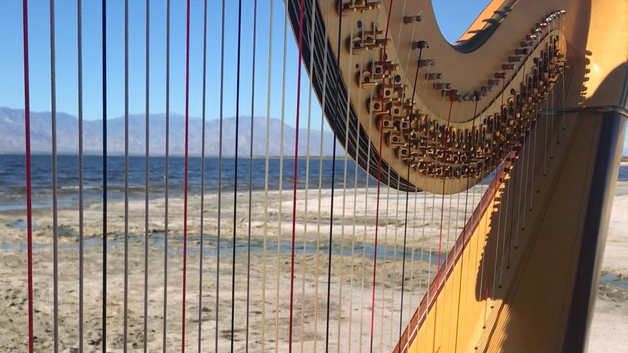 Wind plays two harps! 1 hour of magical harp and nature sounds YouTube