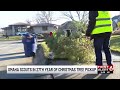 Omaha Scouts in 27th year of Christmas Tree pickup