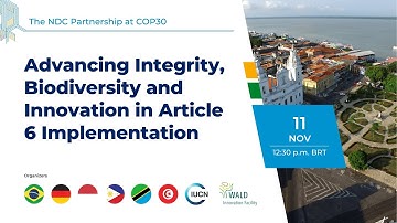 Advancing Integrity, Biodiversity and Innovation in Article 6 Implementation