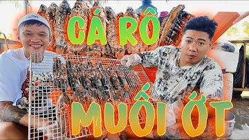 Cá Rô Nướng Muối Ớt  Và Tiến Độ Của Bộ Phim Sắp Ra Mắt | Thanh Nhã