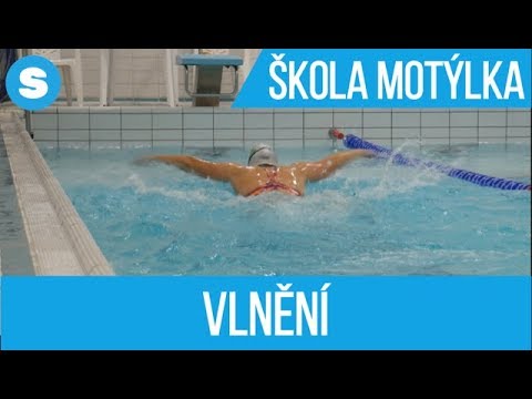 Video: Jak Se Naučit Plavat Motýl