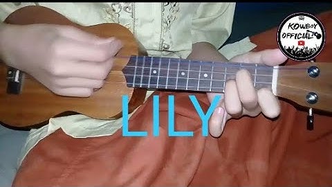 LILY-ALAN WALKER Melodi Kentrung Senar 4