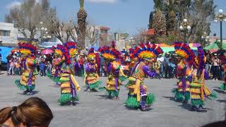 Danza autoctona Salinas de Hidalgo, SLP