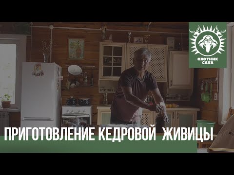 Приготовление кедровой  живицы