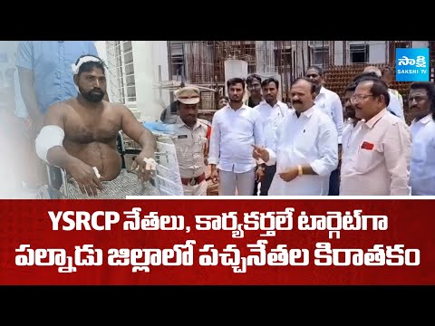Palnadu District TDP Goons Attack YSRCP Leaders And Activists | Yarapathineni Atrocities | Sakshi TV - SAKSHITV