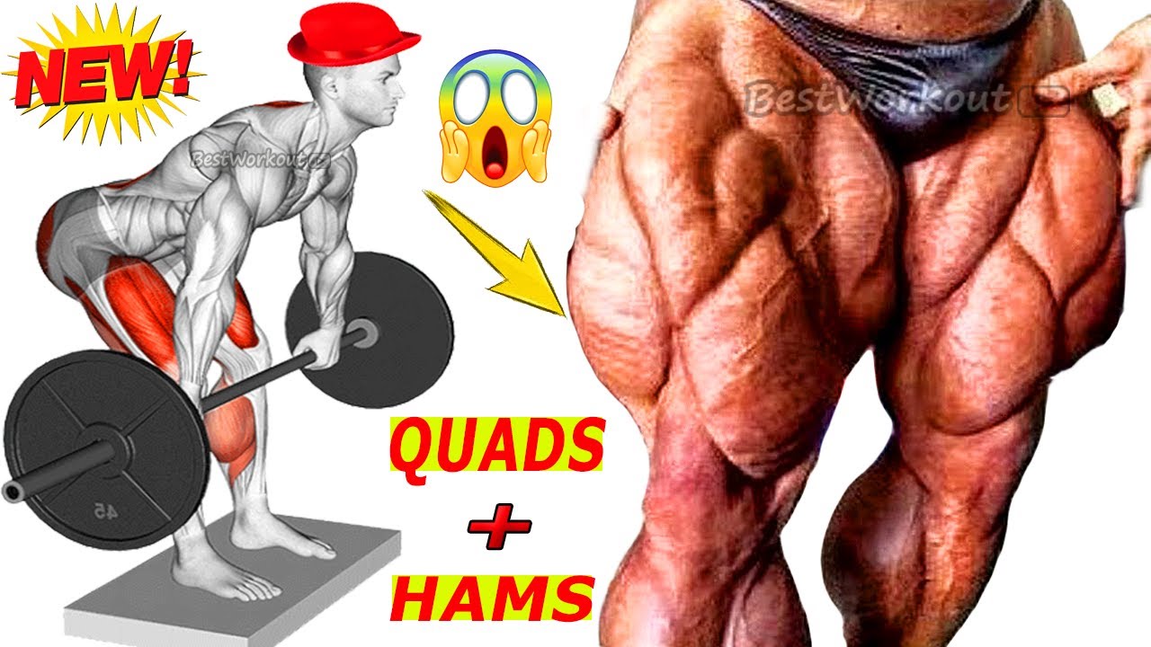 The Perfect Leg Workout At Gym Quadriceps And Hamstrings 9 Best the-perfect-leg-workout-at-gym-quadriceps-and-hamstrings-9-best