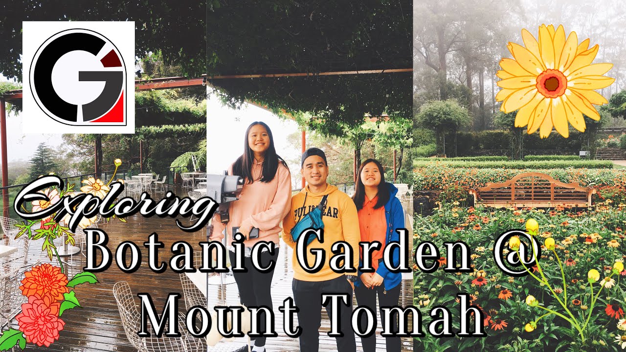 EXPLORING MOUNT TOMAH BOTANIC GARDEN POST BUSHFIRES IN BILPIN RFS