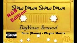 Burn (Damn) - Wayna Morris (BigVerse Screwd)