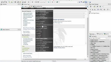 Mangaging Favourate Projects in RAD Studio