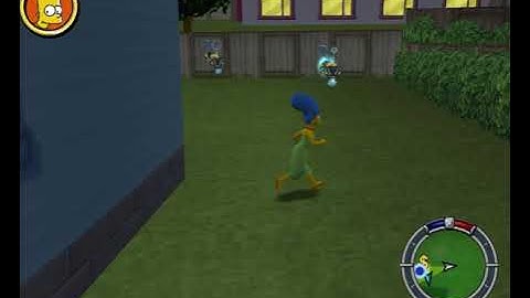 Wasp Camera Problem In Simpson