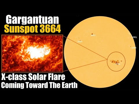 NASA Warned That