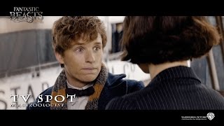 Fantastic Beasts And Where To Find Them ['Magizoologist' TV Spot in HD (1080p)]