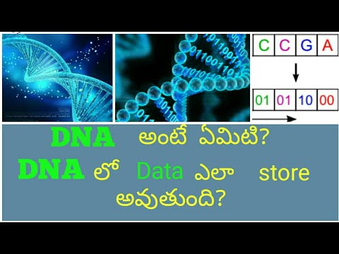 What is DNA in telugu|DNA structure in telugu