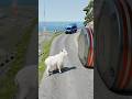 Cars & Ambulance Van vs Hydraulic Crush -BeamNG.drive