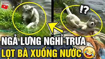 Tin 3 Phút Hài | Tổng hợp tình huống 