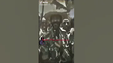 ديل اهلي 