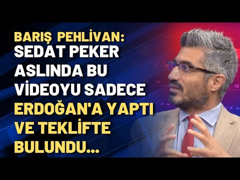 Barış Pehlivan: Sedat Peker aslında bu videoyu sadece Erdoğan'a yaptı ve teklifte bulundu...