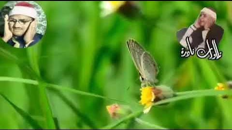 استمع بقلب ❤️ تلاوة خاشعة سورة العلق و التكاثر و الفاتحة و اول بقرة لشيخ محمد المنشاوي --Elminshawey