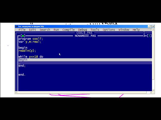 Программирование.Паскаль.Оператор while.Часть 7.