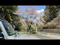 PIVOT スロットルコントローラー 3-drive PRO 付けた。