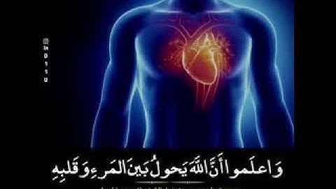 حالات واتساب دينية || القارئ هزاع البلوشي ||