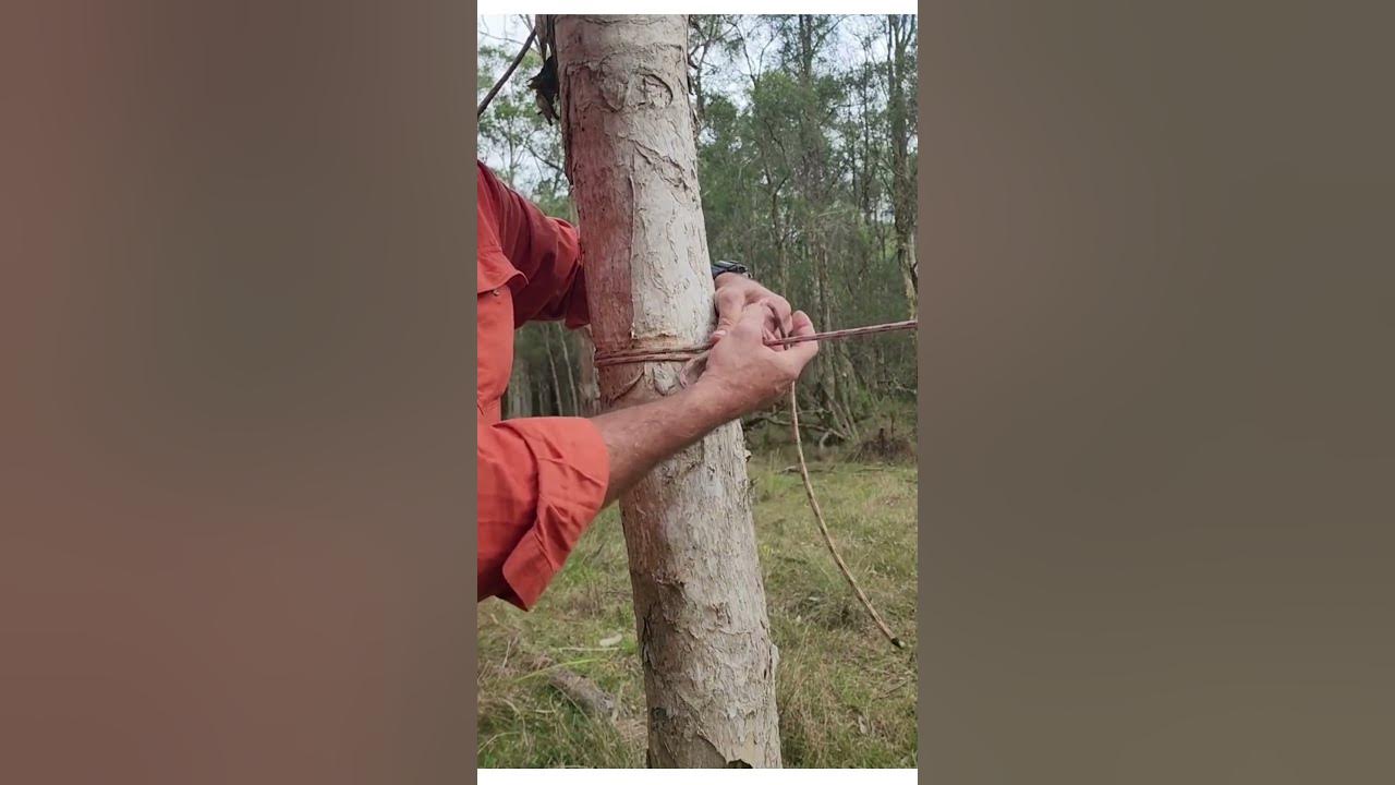 How to make a rope only ridgeline for shelter. Easy knots and hitches#