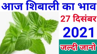 27 December 2021 Mentha oil rate today, आज  शिबाली भाव,27 दिसंबर 2021,Mentha price