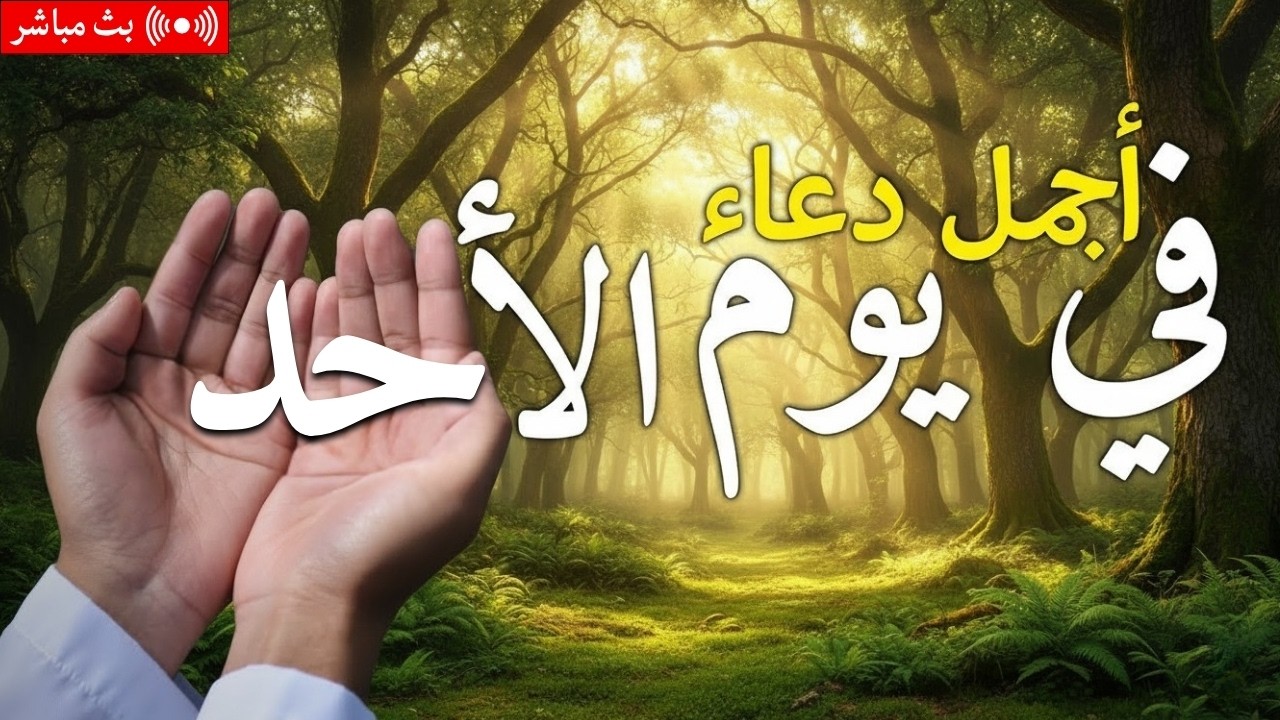 دعاء يوم الجمعة فرض الرزق وقضاء الدين وتفريج الهم وتيسير الأمور باذن الله