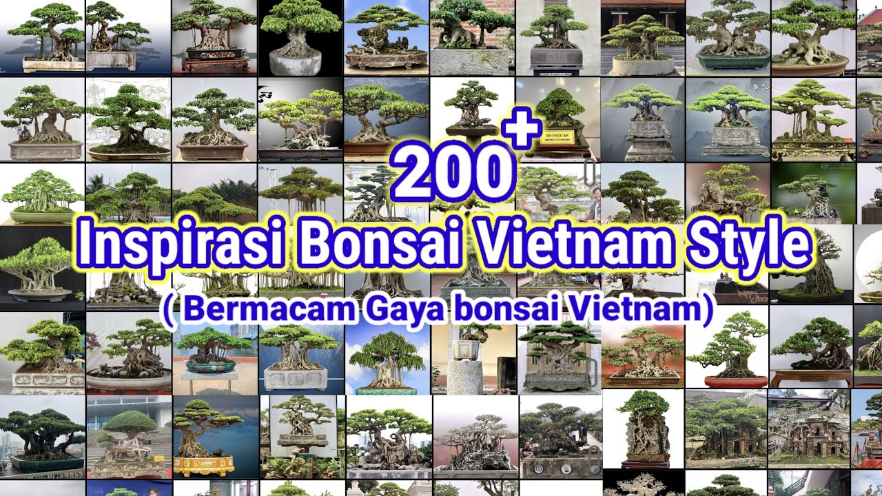 INSPIRASI GAYA BONSAI VIETNAM || BONSAI VIETNAM STYLE