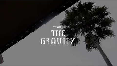 Gestures Fact - Track 11 - The Gravity