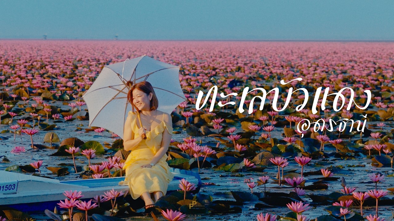 Красное лотосовое море, Удон Тани