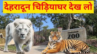 देहरादून चिड़ियाघर के खूंखार जानवर | Dehradun Zoo | Dehradun Uttarakhand Zoo | @Kashif012