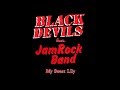 Black devils feat jam rock band  my sweet lily