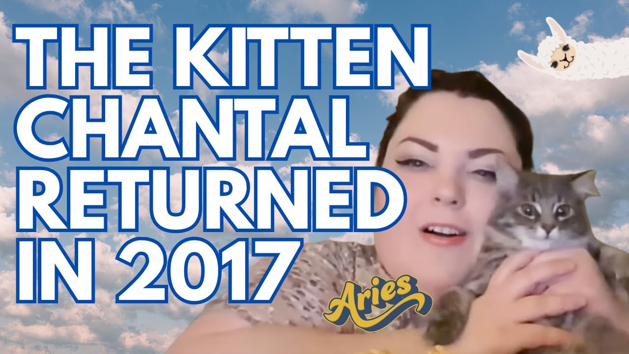REMEMBERING ARIES: THE KITTEN FOODIE BEAUTY RETURNED IN 2017