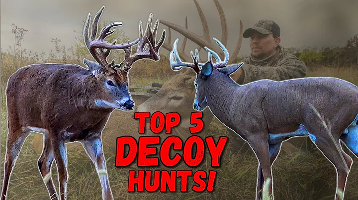 TOP 5 DECOY HUNTS! (Giant Buck Destroys Decoy!)