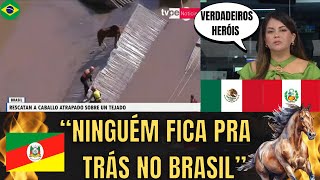 Mídia Internacional Impressionada Com O Resgate Do Cavalo No Rio Grande Do Sul