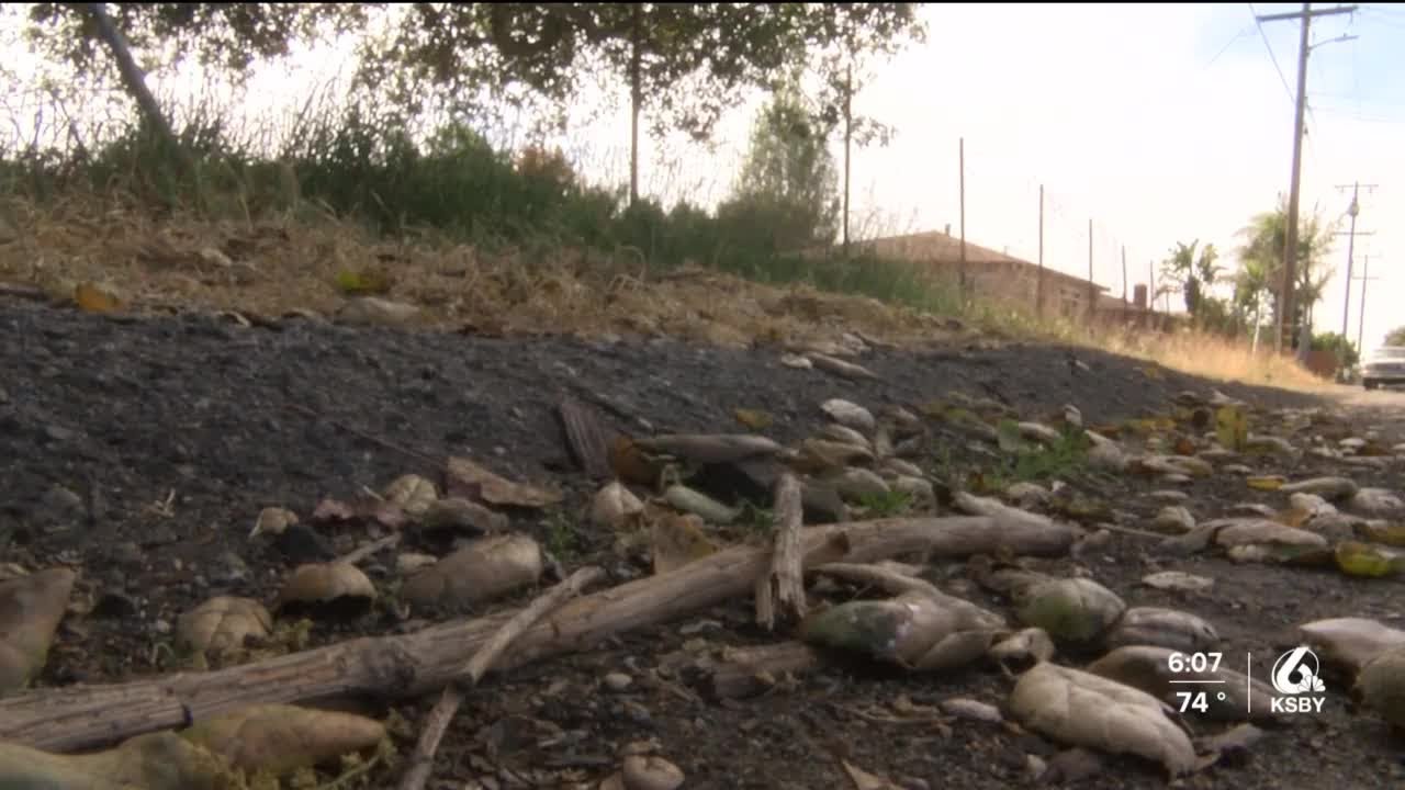 It’s “weed abatement inspection season” for local firefighters