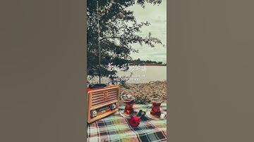 ايات منجيات من القرآن الكريم بصوت الشيخ ماهر حالات واتس اب دينية قصيرة مؤثرة قرآن كريم تلاوة خاشعة