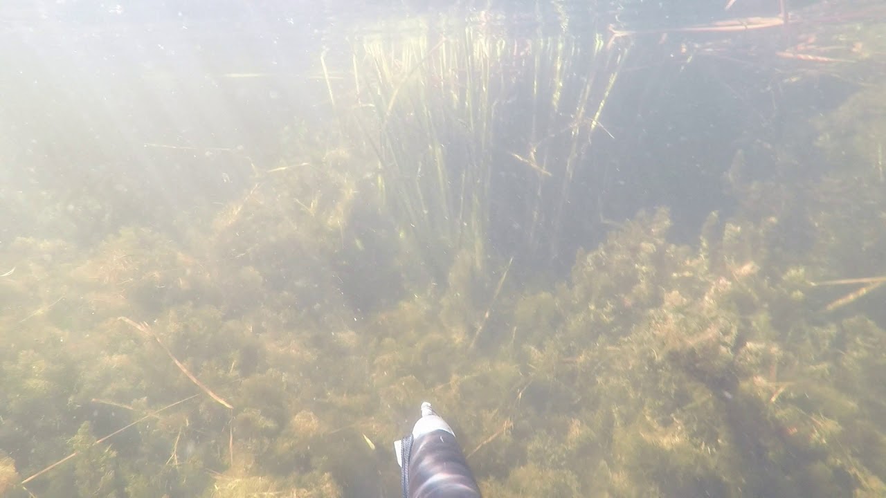 Озеро зункарь нефтекумский район Озеро зункарь нефтекумский район