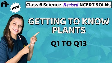 Getting to Know Plants Class 6 Science | Revised NCERT Solutions | Chapter 4 Questions 1-13