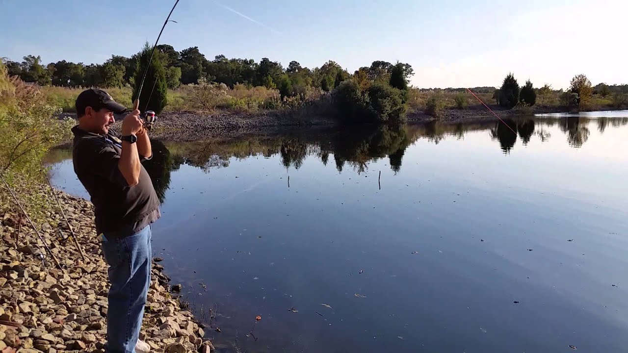 Striper fishing in North Carolina with Todd Schroe YouTube