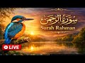 Surah Ar-Rahman Unlocking Health, Wealth &amp; Peace #quran #recitation #muslim